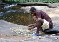 <p> Jean-Paul is making a scabbard for a machete from liana. </p>